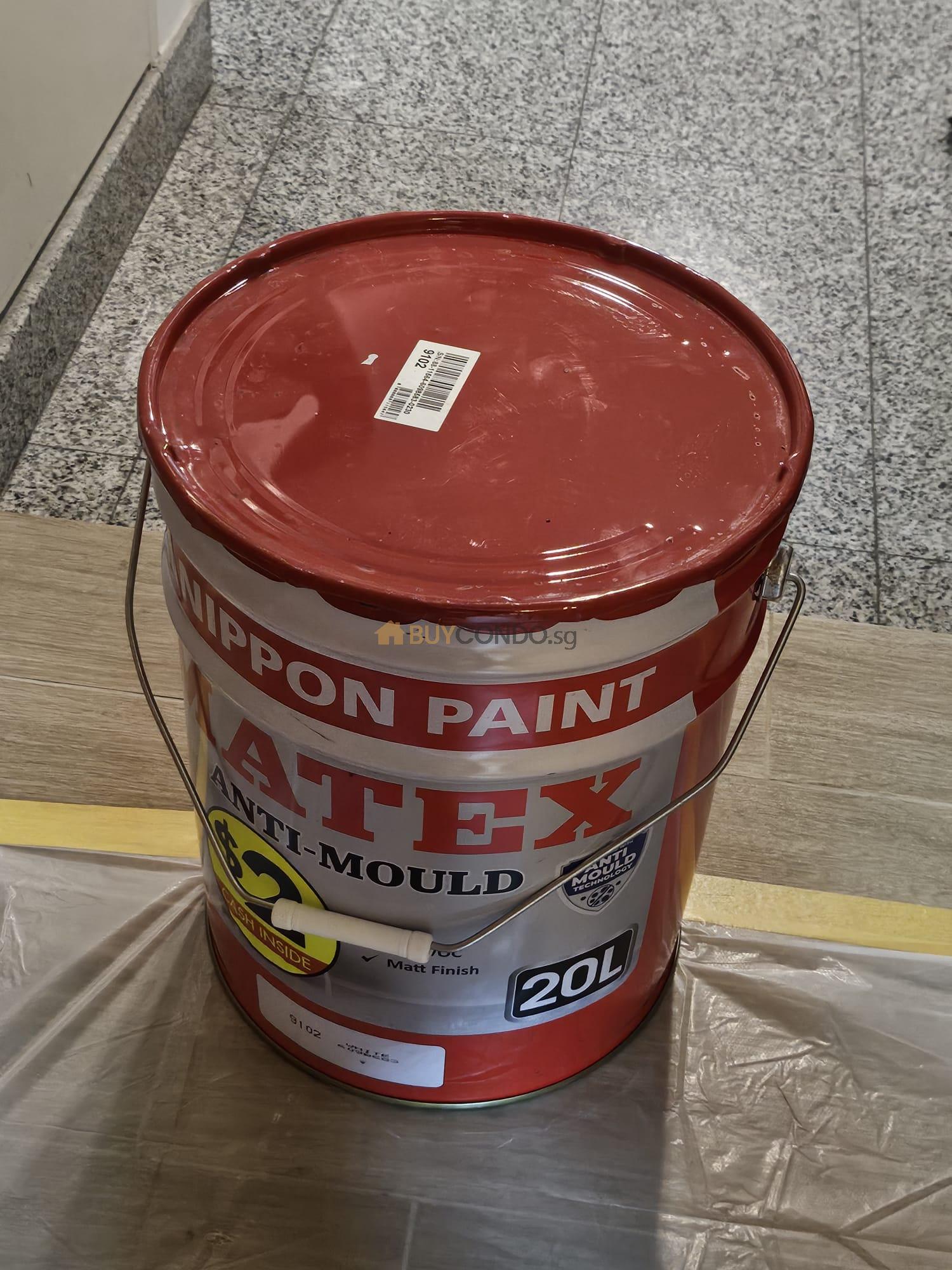 Anti Mould Matex Wall Paint